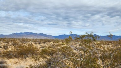 3332 W Yellow Bird Dr, Yucca, AZ 86438 - photo 4
