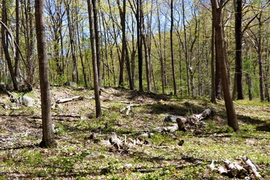 5 Primrose Ln, Cape Neddick, ME 03902 - photo 4