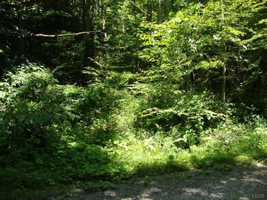 0 Zinks Mill School Rd unit 298900, Montebello, VA 24464 - photo 4