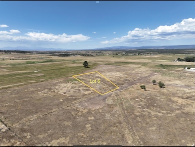 105 S Place, Norwood, CO 81423 - photo 4