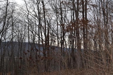 DSC_0243 (640x427).jpg