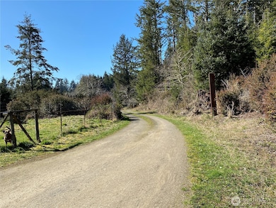 23800 Next to Elm Place, Ocean Park, WA 98640 - photo 3