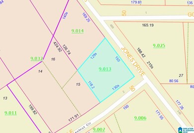 0 Jones Dr unit 15 21414159, Sylacauga, AL 35151 - photo 4