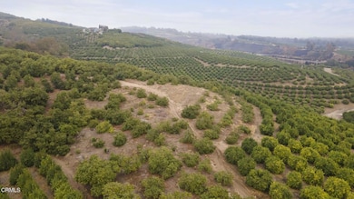 3-web-or-mls-Upmarketmedia_Donlon-12