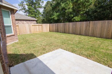 29610 Woodsons Shore Dr, Spring, TX 77386 - photo 4