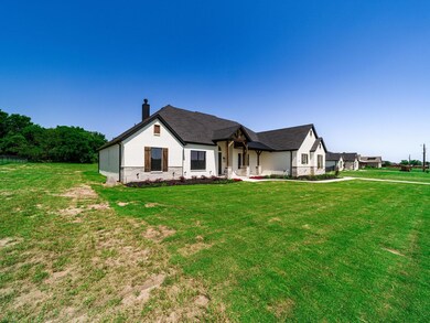 1027 Henry Way, Springtown, TX 76082 - photo 2