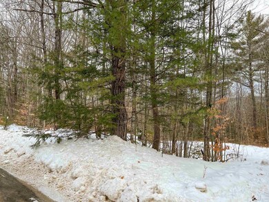 00 Fox Rd unit 18, Madison, NH 03849 - photo 2