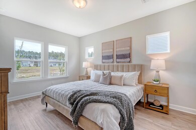 Palmetto primary sample pic