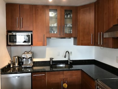 Hammond Park Condominiums unit 406, Chestnut Hill, MA 02467 - photo 3