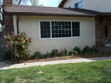 Flower Bed and Grass