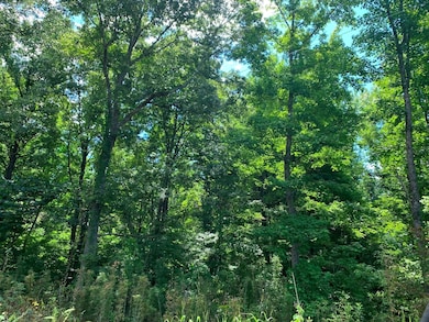 Tillman Chapel Rd, Port Gibson, MS 39150 - photo 5