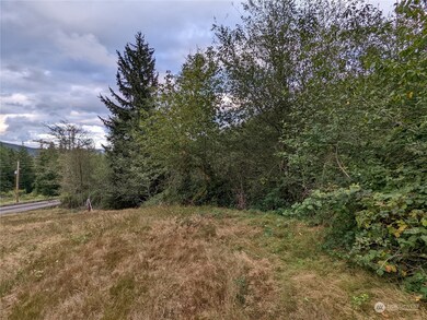 290 State Rt 6, Raymond, WA 98577 - photo 7