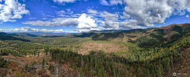 4684 LOT D Grouse Creek Rd, Chewelah, WA 99109 - photo 2