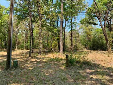 348 Cooperwood Rd, Crawfordville, FL 32327 - photo 3