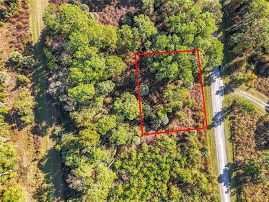 810 Paradise Blvd, Georgetown Cove, FL 32139 - photo 3