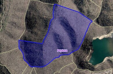 0 Toneys Fork Rd, Peytona, WV 25154 - photo 3