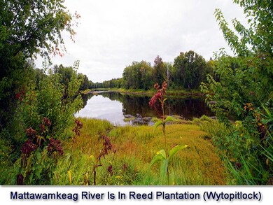 reed-plantation-benefits