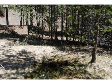 0 Barrett St unit 20022010, Granite, OR 97877 - photo 5