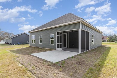 4010 Macks Rd unit LOT 3, Aynor, SC 29511 - photo 2