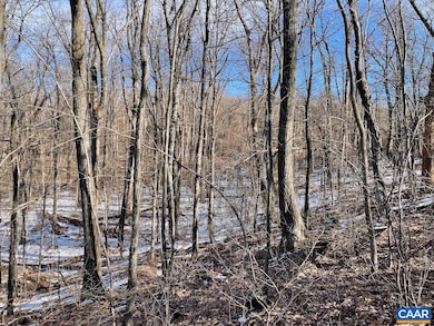 0 Rockledge Rd unit 661313, Afton, VA 22920 - photo 3