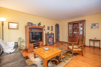Alison Turtle Lake Property-