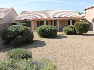 2-Backyard