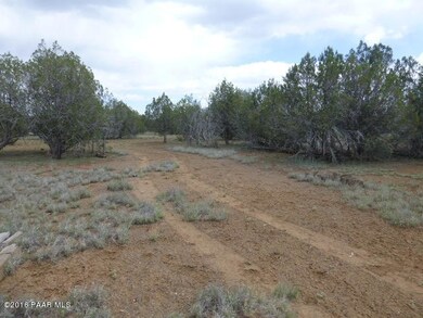 216 Off Camp Rd, Ash Fork, AZ 86320 - photo 6