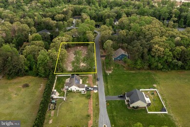 23311 Carriage Spring Run, Milton, DE 19968 - photo 5