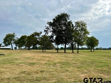 175 Acres County Road 1148, Cumby, TX 75472 - photo 7