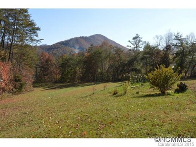 35 Mary Rose Ln, Leicester, NC 28748 - photo 5