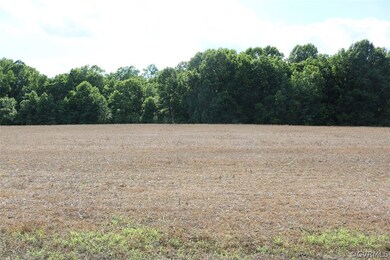 10610 County Dr, Disputanta, VA 23842 - photo 2