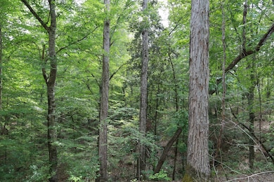 TBD Eason Rd, Columbia, LA 71418 - photo 5