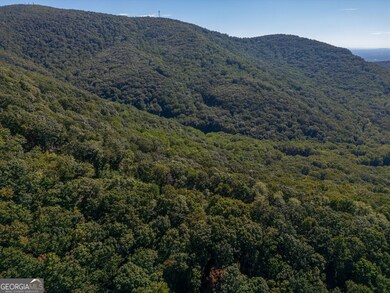 0 Shadowick Mountain Rd unit 10622865, Jasper, GA 30143 - photo 5