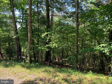 0 Lee Ashby Rd, Basye, VA 22810 - photo 3