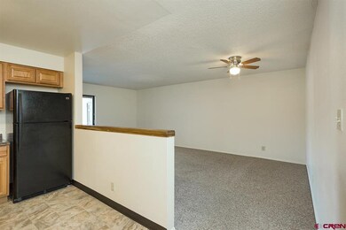 1204 Avenida Del Sol unit 212, Durango, CO 81301 - photo 6