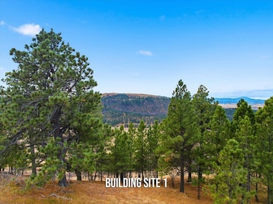 Lot 53 Frawley Ranch unit Lot 53 Frawley Ranch, Spearfish, SD 57783 - photo 6