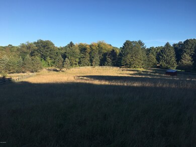 IMG-3891