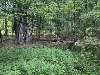 0 Rosengrant Rd, Lake Ariel, PA 18436 - photo 2