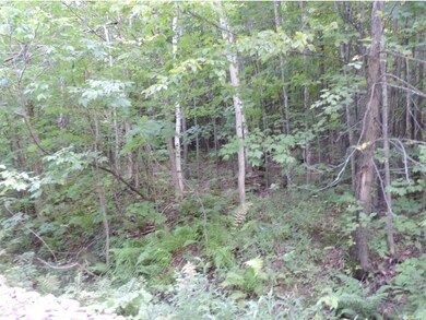 1099 Gibbs Rd, Newport, VT 05857 - photo 4