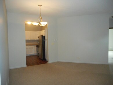 1210 Rhodes Ln unit 2406, Naperville, IL 60540 - photo 6