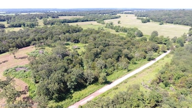 TBD James Rd, Charleston, AR 72933 - photo 6