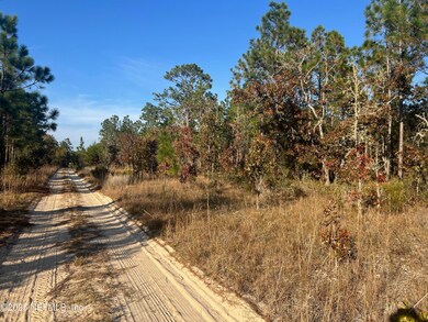 224 Kansas Ave, Hawthorne, FL 32640 - photo 4