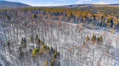 L1 County Rd 16, Otselic, NY 13815 - photo 7