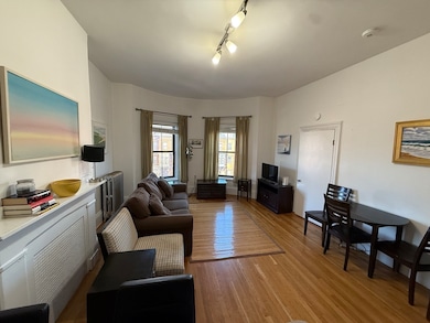670 Tremont St unit 7, Boston, MA 02118 - photo 5
