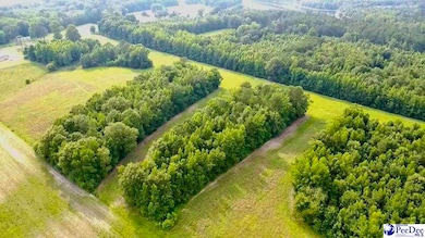 1914 N Old Georgetown Rd, Scranton, SC 29591 - photo 5