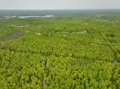 0 Buettner Rd unit 214627, White Lake, WI 54491 - photo 4