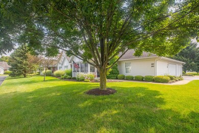 263Chapman-6468