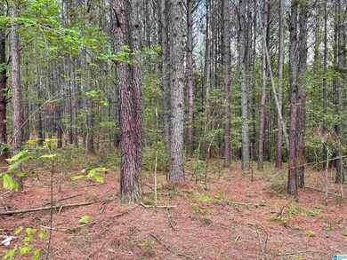 0 Bud Cummings Rd unit 42 1350945, Roanoke, AL 36274 - photo 2