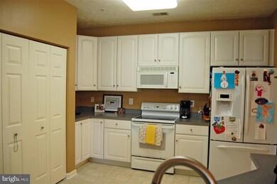 2404 Chestnut Terrace Ct unit 103, Odenton, MD 21113 - photo 6