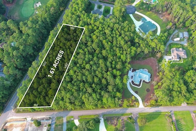 Lot 1-A Brace Dr, Pawleys Island, SC 29585 - photo 4